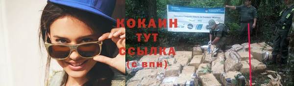 mdpv Касимов
