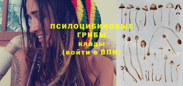 СК Карпинск