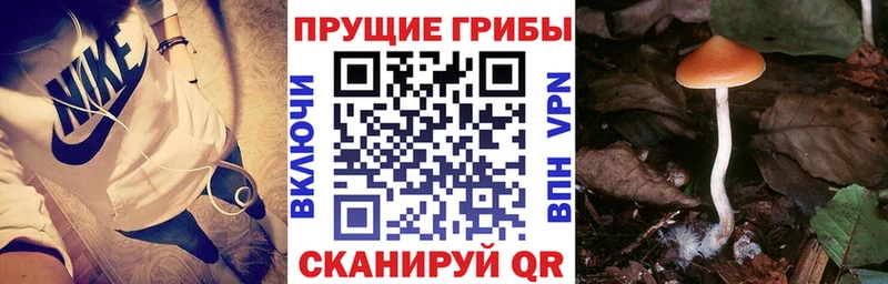 Купить закладки  Петушки  Галлюциногенные грибы Magic Shrooms 